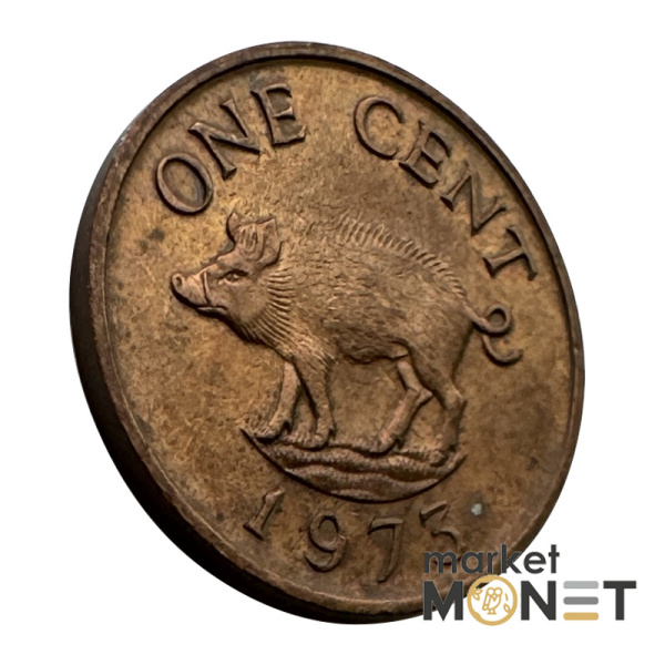 Монета 1 цент 1973 Бермудські Острови Королева Єлизавета II (4.16)