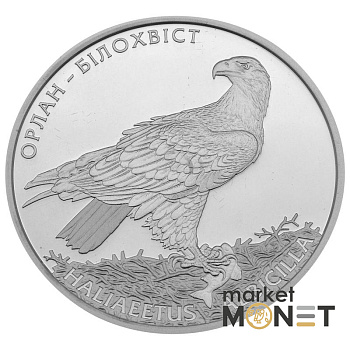 Срібна монета 10 гривень 2019 Україна 925 1 Oz Орлан-білохвіст