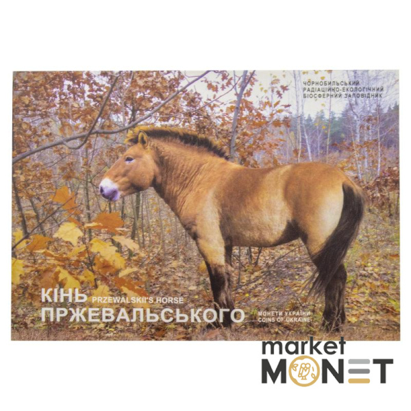 Монета 5 грн 2021 Україна Чорнобиль. Відродження. Кінь Пржевальського у сувенірній упаковці