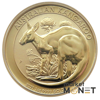 Золота монета 1oz Кенгуру 100 доларів 2021 Австралія
