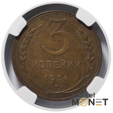 Монета 3 копійки 1924 СРСР в слабі MS 62 BN